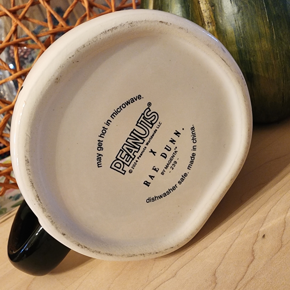 Rae Dunn Peanuts Collaboration Mug - Picture 7 of 9